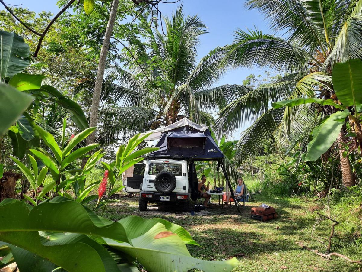 La Munequita Lodge 1 - Culture & Nature Experience Palmar Norte Экстерьер фото
