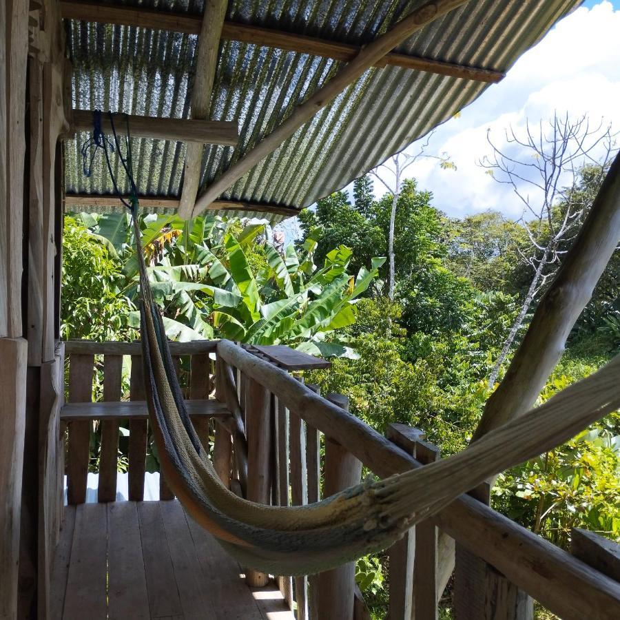 La Munequita Lodge 1 - Culture & Nature Experience Palmar Norte Экстерьер фото